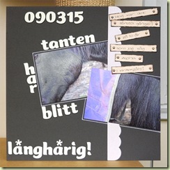 tanten har blitt långhårig_stor