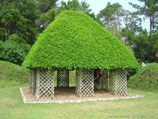 [image008[6].jpg]