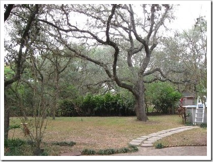 backyard7 backyard7