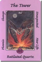 Australian Animal Tarot (16)