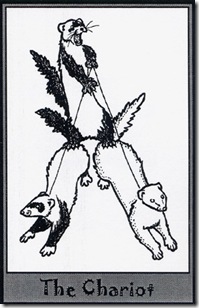 Ferret Tarot (7)