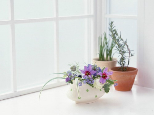 dongian.jpg (500×375)