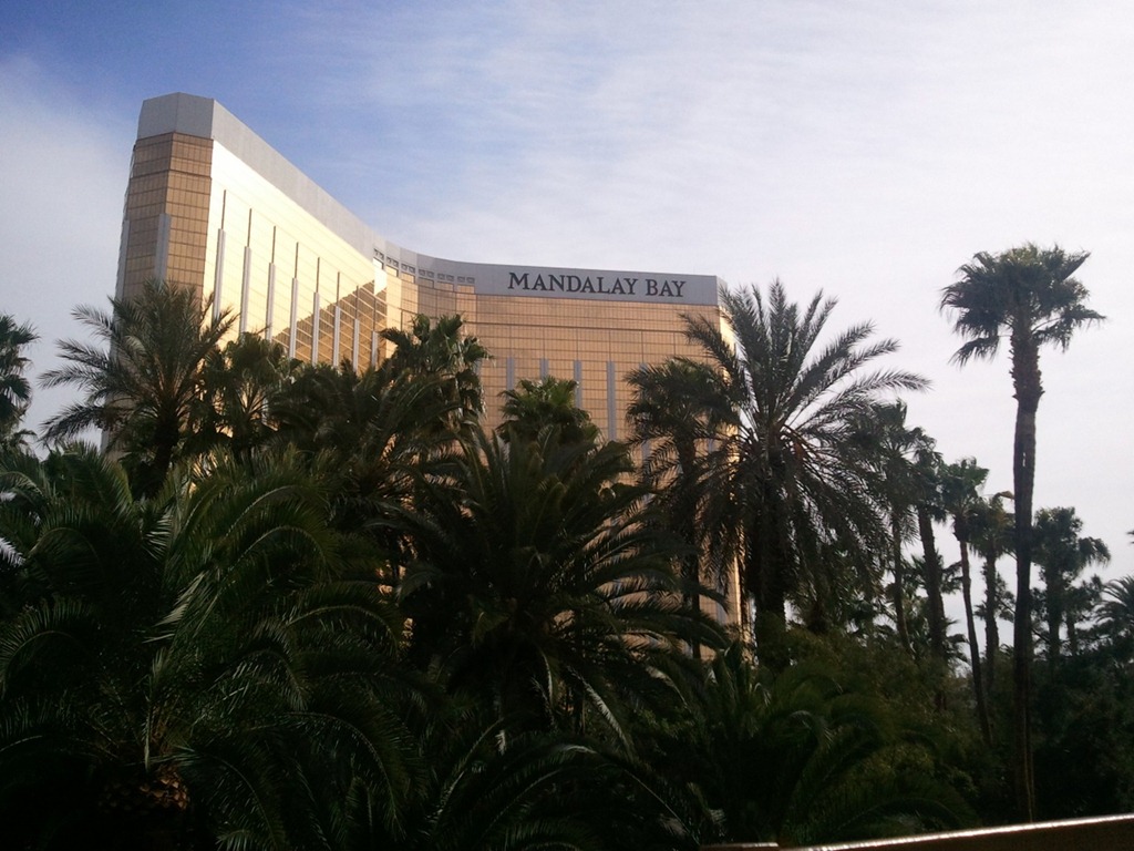 [mandalay-bay[3].jpg]