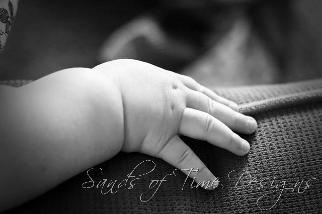[IMG_4739_fltd-copy_web[2].jpg]