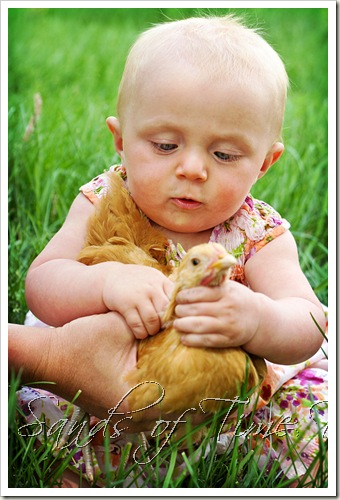 IMG_5097-copy_web
