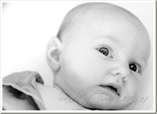 IMG_7616_fltd-copy_bw_web