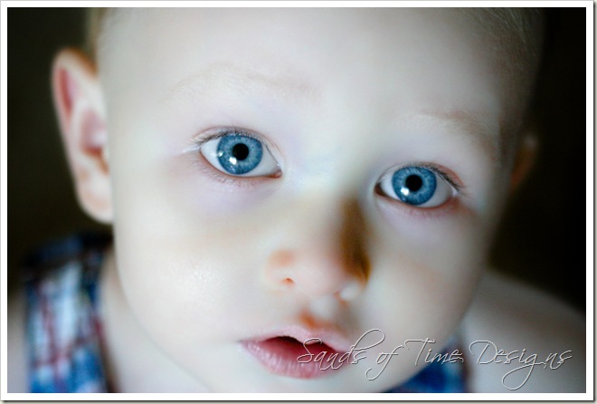 IMG_8014-1 copy_wb