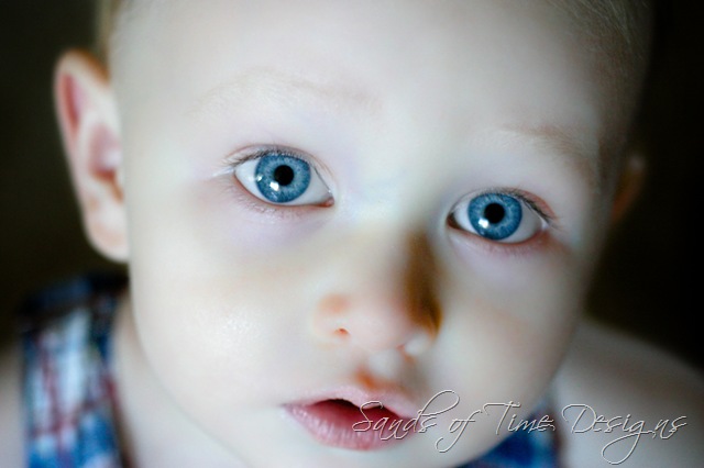 [IMG_8014-1 copy_wb[2].jpg]