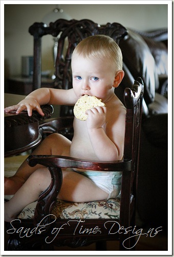 IMG_8274-8_wb