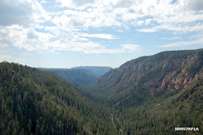 Dixie National Forest