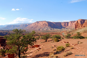 Red Canyon