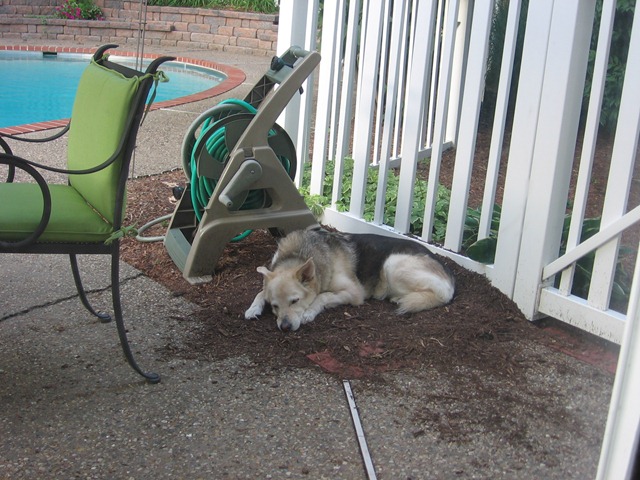 [July 2008 001[3].jpg]