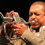 62_havanastreetband.jpg