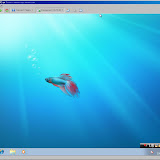 capture043.jpg