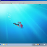 capture044.jpg