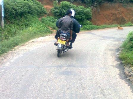 [Image06012.jpg]