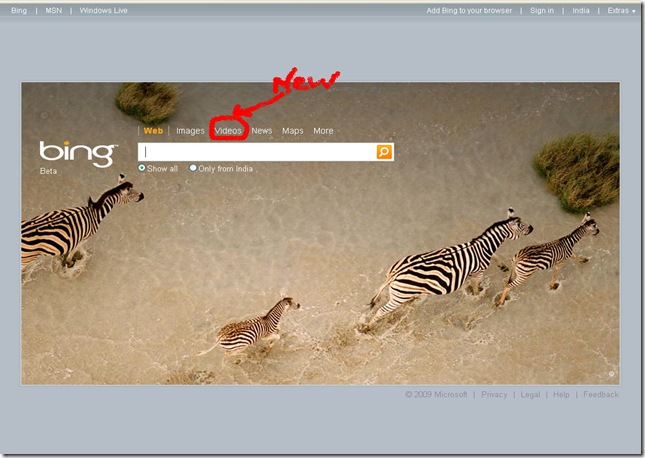 bing_main