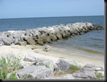 beach and rocks