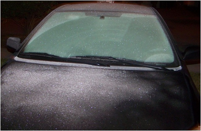 [Nieve en Miami[3].jpg]