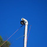 DSC_0096.JPG