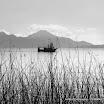 IMG_5465-1.jpg