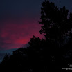 IMG_4906.1.jpg