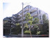 Tokyo Apartment
