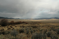 DSC_0017_DxO.jpg