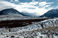 DSC_0026_DxO_raw_resize.jpg