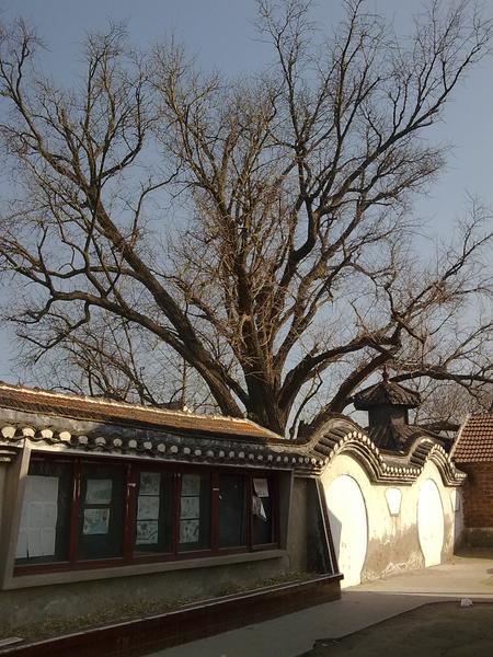 20090127117.jpg