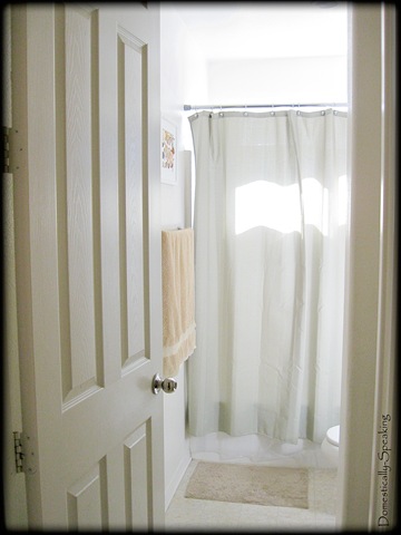 [downstairs bath before 1[3].jpg]
