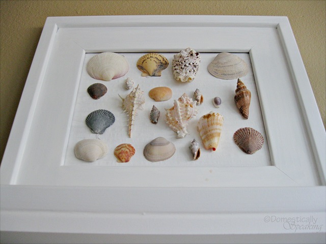 [shell art[4].jpg]
