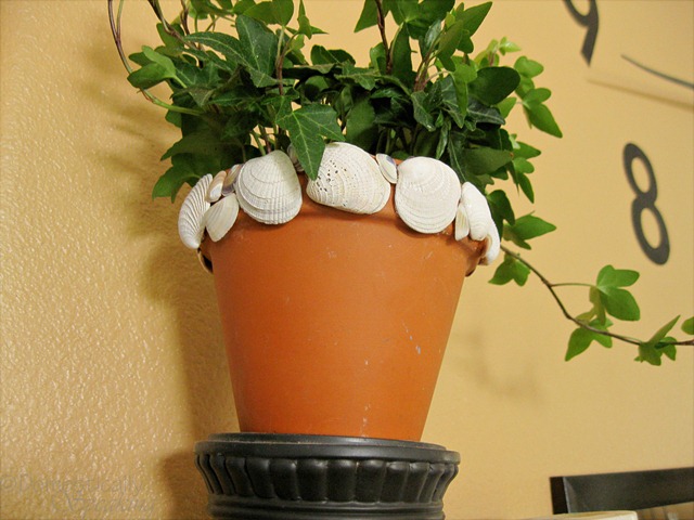 [shell pot 1[4].jpg]