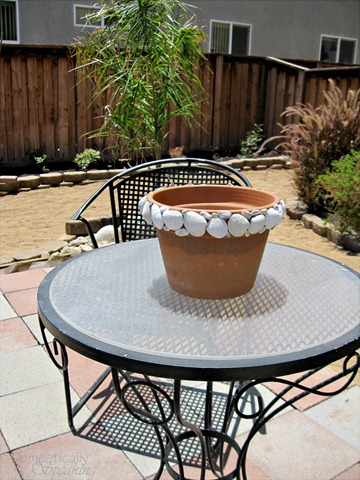 [shell pot 3[4].jpg]