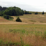 dsc_6622.jpg