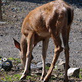 dsc_7590.jpg