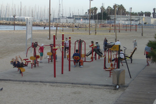 These adult playgrounds, actually gyms, dot the beach in Tel Aviv