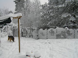 bigsnowday (11).JPG