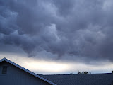 Mammatocumulus.JPG
