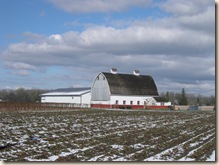 Ed's Barn