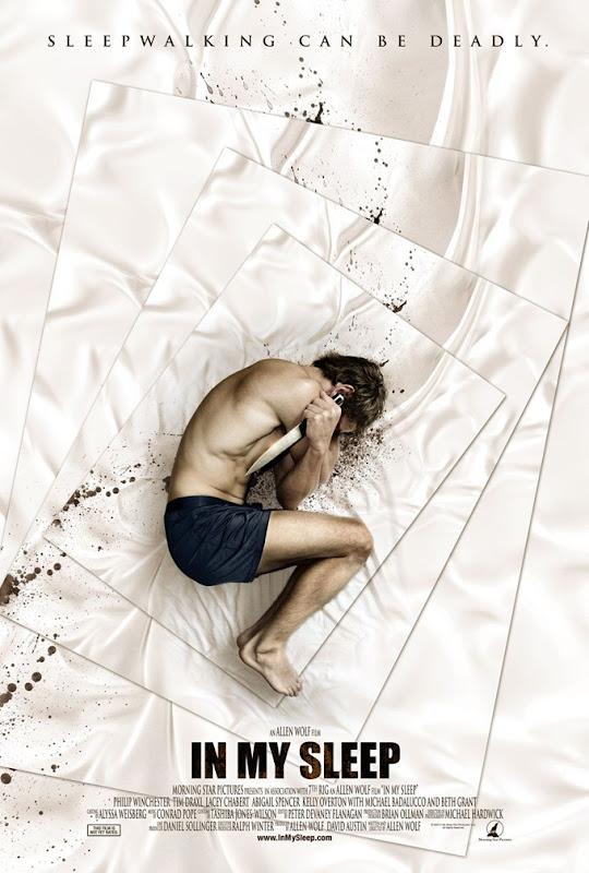 In My Sleep videók és poszter