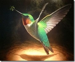 Ragyogó kolibri