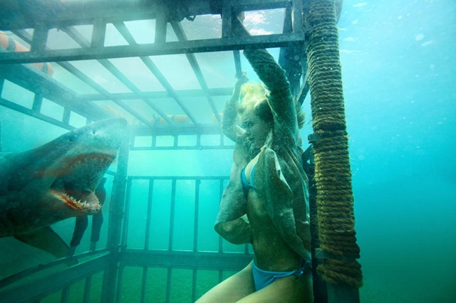 Veszett jó Shark Night 3D fotó