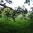 Landscapes and Wildlife