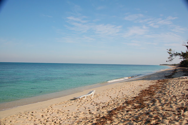 DSC_7529.JPG