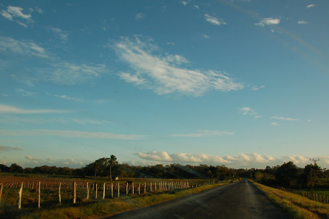 DSC_7393.JPG