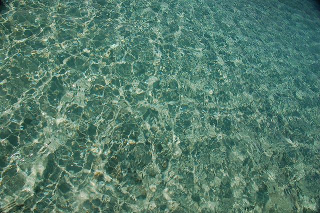 DSC_7463.JPG