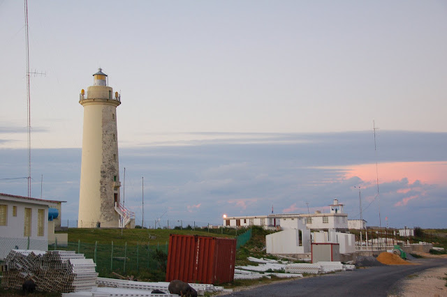 DSC_7492.JPG