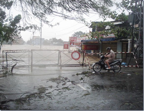 Hue quang lut 3 Hue quang lut 3