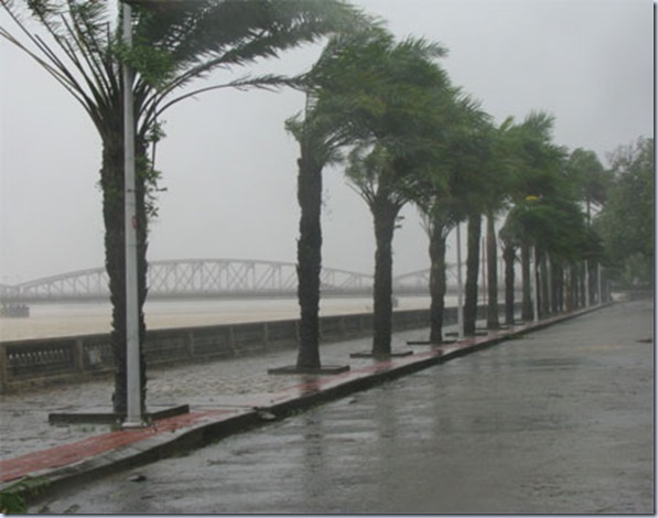 Hue quang lut 4 Hue quang lut 4